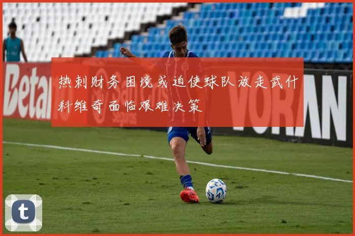 热刺财务困境或迫使球队放走武什科维奇面临艰难决策