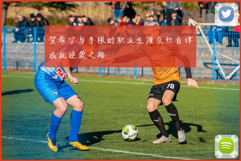 贺希宁与李根的职业生涯交织自律成就逆袭之路